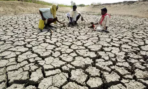 महाराष्ट्र का गहराता कृषि संकट - अनाज उत्पादन में 41%, दाल में 11% गिरावट महाराष्ट्र का गहराता कृषि संकट - अनाज उत्पादन में 41%, दाल में 11% गिरावट