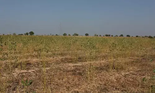 महाराष्ट्र का विभाजन: विदर्भ = सर्बिया; कोंकण = क्यूबा महाराष्ट्र का विभाजन: विदर्भ = सर्बिया; कोंकण = क्यूबा