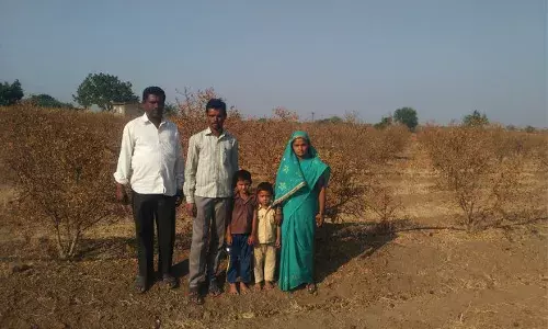 अनार के खेतों के साथ भारत की नई खेती के लिए बढ़ता खतरा अनार के खेतों के साथ भारत की नई खेती के लिए बढ़ता खतरा