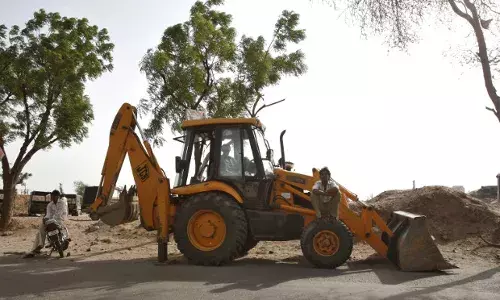 कैसे भारतीय शहरों से गायब हो रहें हैं पेड़