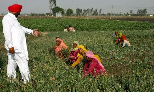 किसानों को कर से छूट - 215 करोड़ रु का लाभ कमाने वाली कंपनि भी कर मुक्त