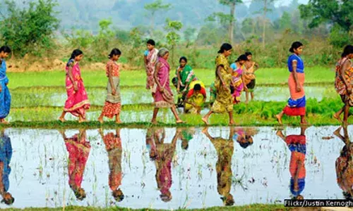 एक दशक में अकेली रहने वाली महिलाओं की संख्या में 39% वृद्धि एक दशक में अकेली रहने वाली महिलाओं की संख्या में 39% वृद्धि