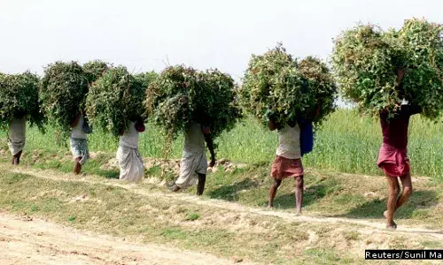 बिहार में हैं सबसे अधिक शिक्षित बेरोज़गार बिहार में हैं सबसे अधिक शिक्षित बेरोज़गार