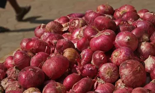 बिहार चुनाव के साथ बढ़ता प्याज का भाव मात्र संयोग? बिहार चुनाव के साथ बढ़ता प्याज का भाव मात्र संयोग?