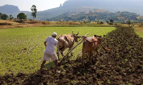 किसान आत्महत्या दर में 67% गिरावाट – क्या है सच? किसान आत्महत्या दर में 67% गिरावाट – क्या है सच?