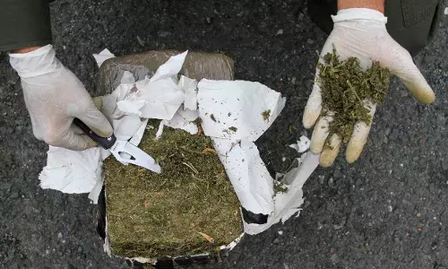 भारत में बढ़ती नशे की लत - तीन सालों में 455% बढ़ी