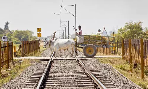 रेलवे ने क्या सही किया  : सुरक्षित क्रॉसिंग रेलवे ने क्या सही किया  : सुरक्षित क्रॉसिंग
