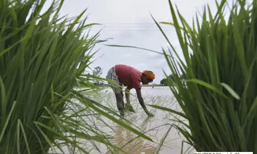 सर्वोच्च 10 नई योजनाएं विस्तार से सर्वोच्च 10 नई योजनाएं विस्तार से